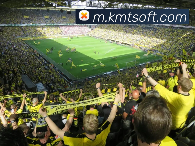 mksports发展历程